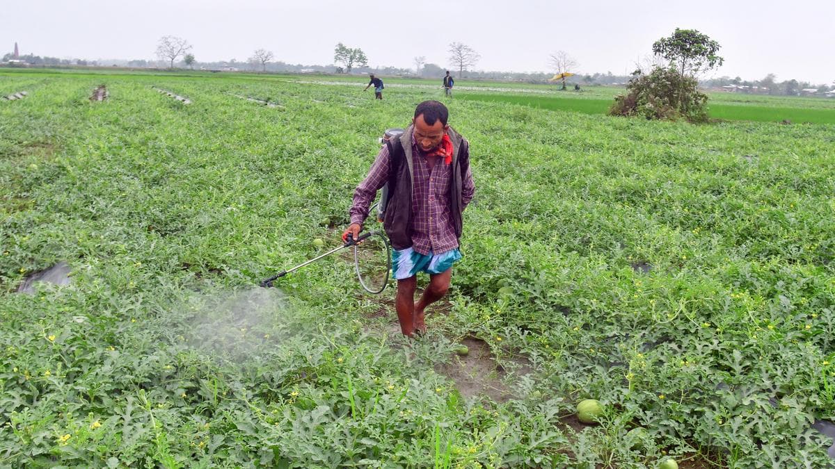 Critical Warning: Pesticide Prices Set to Surge Amid War Fears