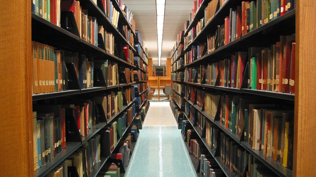 Shocking Truth: Indian Professors Sacrifice Creativity for Citations