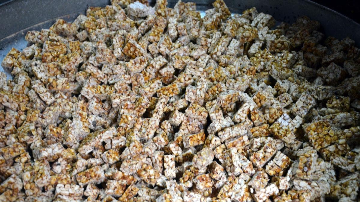 Urgent Action Needed: Vaiko Appeals for Kovilpatti Industry Support