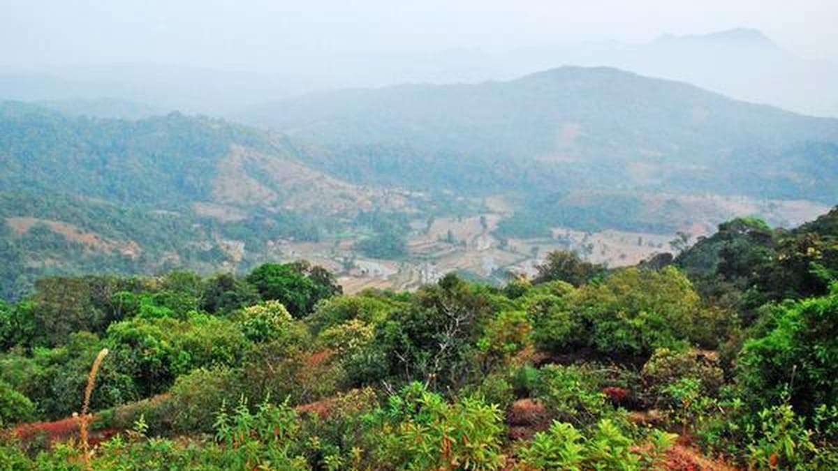 Critical Decision: Karnataka High Court Halts Hydroelectric Project