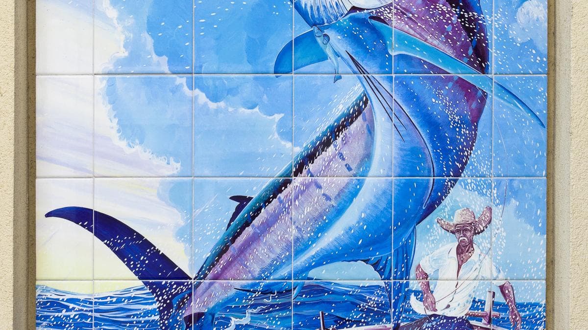 Exploring Ageing Through Literature's Lens: A Profound Journey