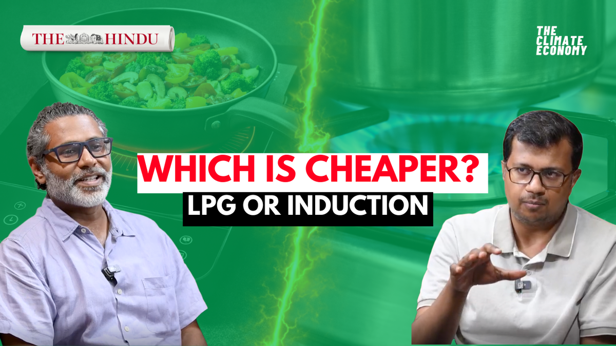 Induction vs. LPG: Which Cooking Method Saves More Money?