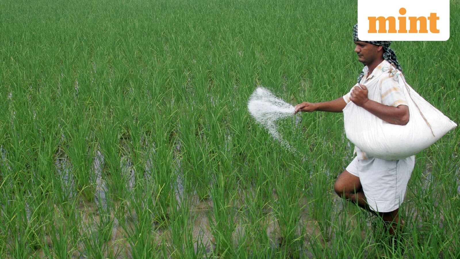 India's Urgent Shift: Diversifying Fertilizer Sources Amid Crisis