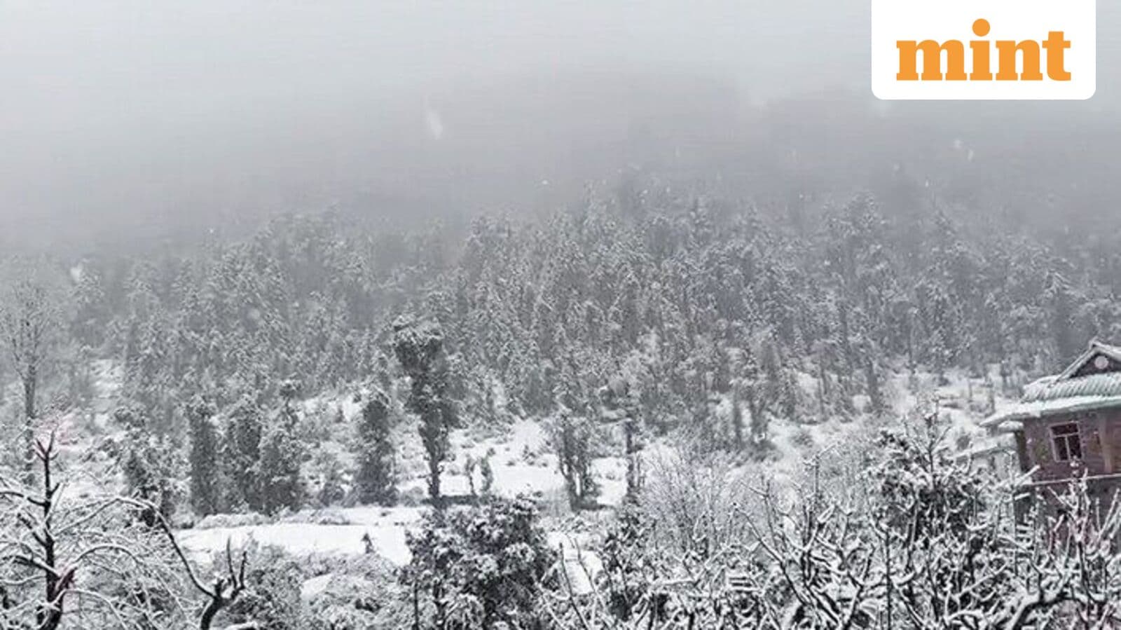 Major Snowfall Transforms Himachal and Kashmir into Winter Wonderland