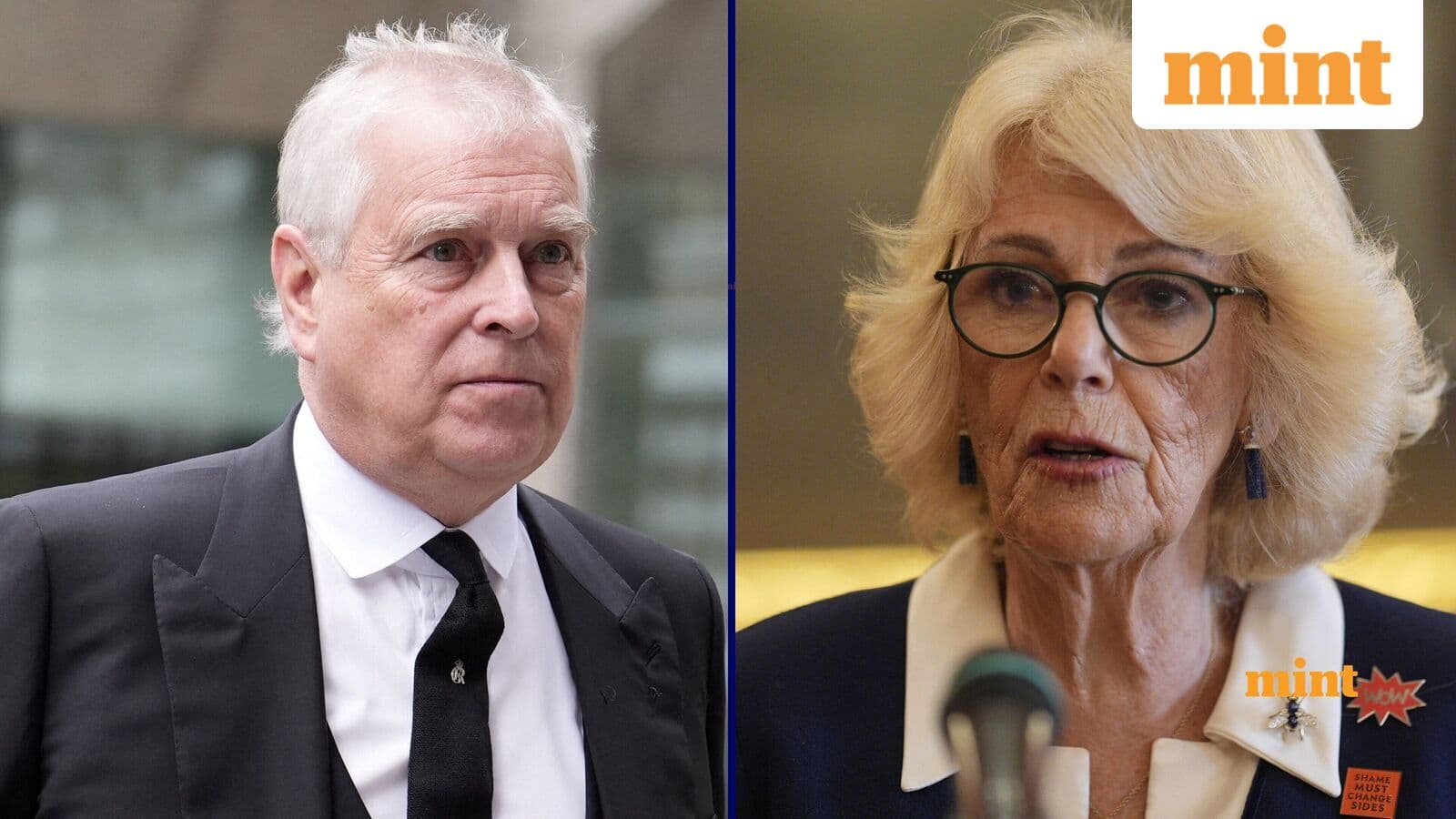 Shocking Rift: Queen Camilla's Tense Ties with Prince Andrew