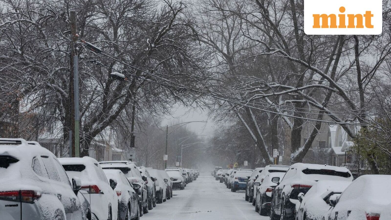 Breaking: Severe Weather Forces School Closures Across Virginia