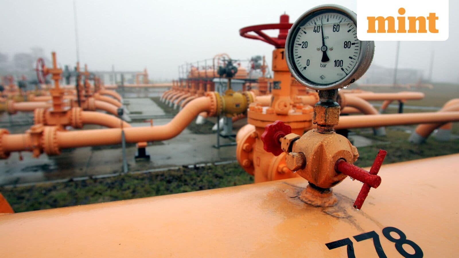 Critical Cooking Gas Shortage: India Incentivizes PNG Adoption