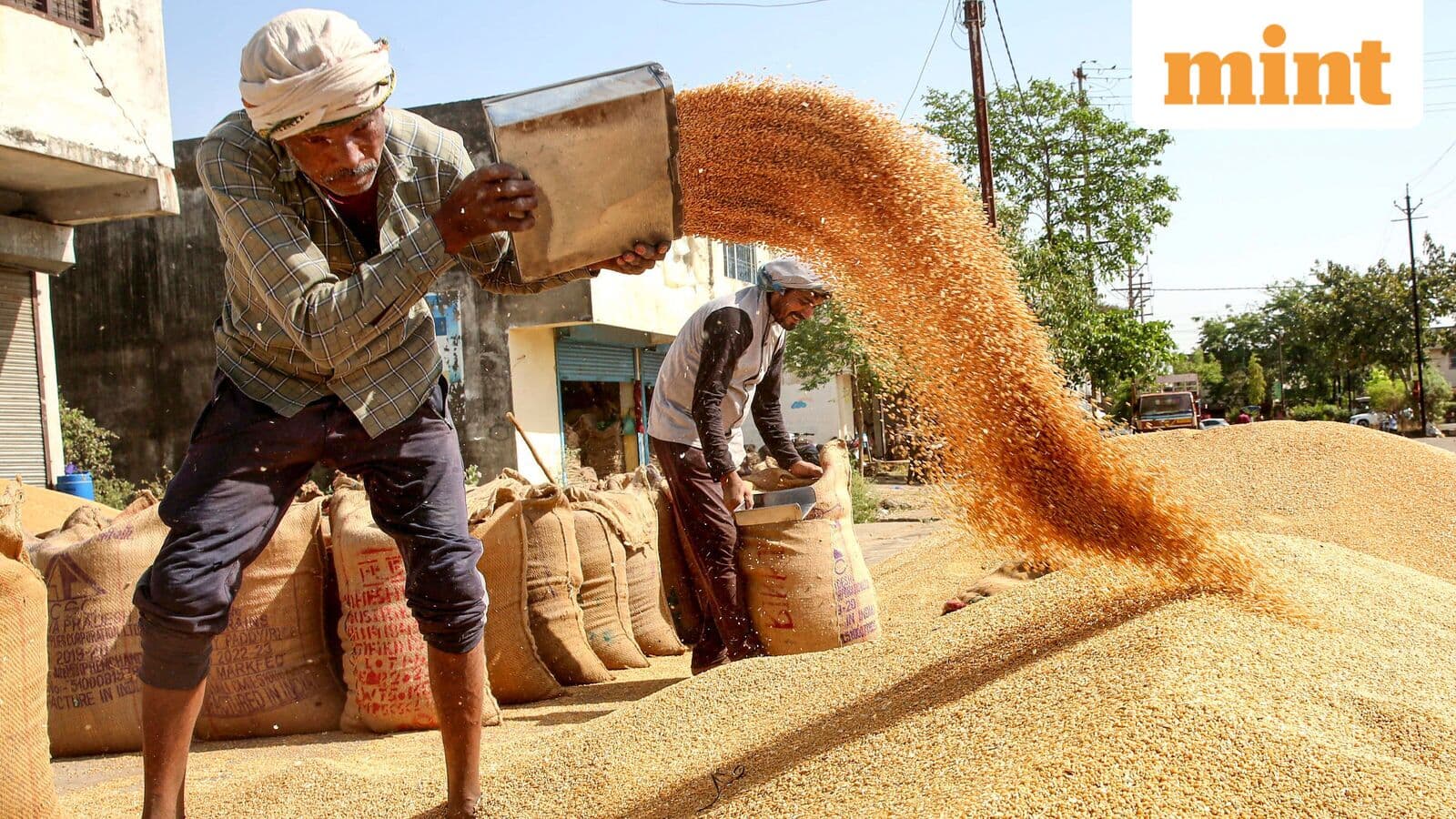 Bihar and UP Wheat Farmers Gain from War-Driven Trade Shift