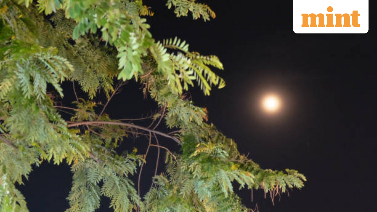 Eid al-Fitr Moon Sighting: Key Times for Indian Cities Today