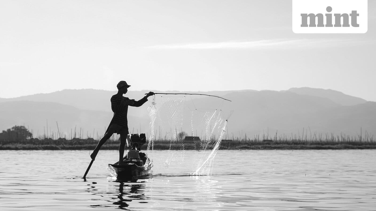 India's Bold Move into Cold-Water Fisheries: Trout & Mahseer