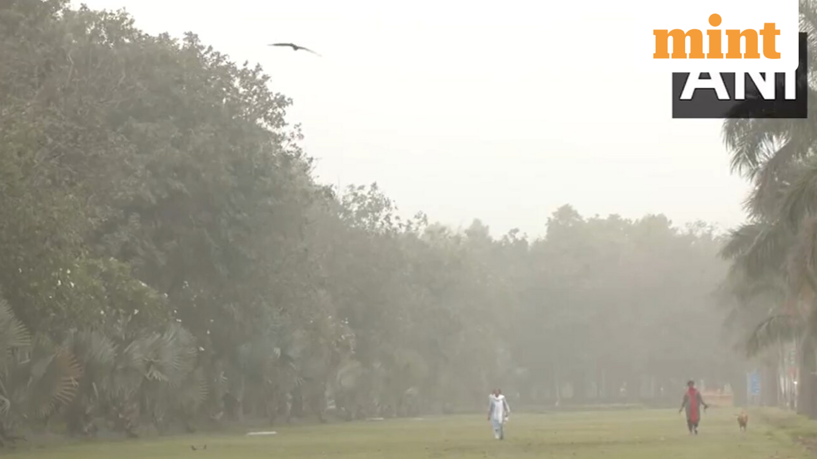 Delhi Weather Update: Dust Storms and Rain Forecast for April 3