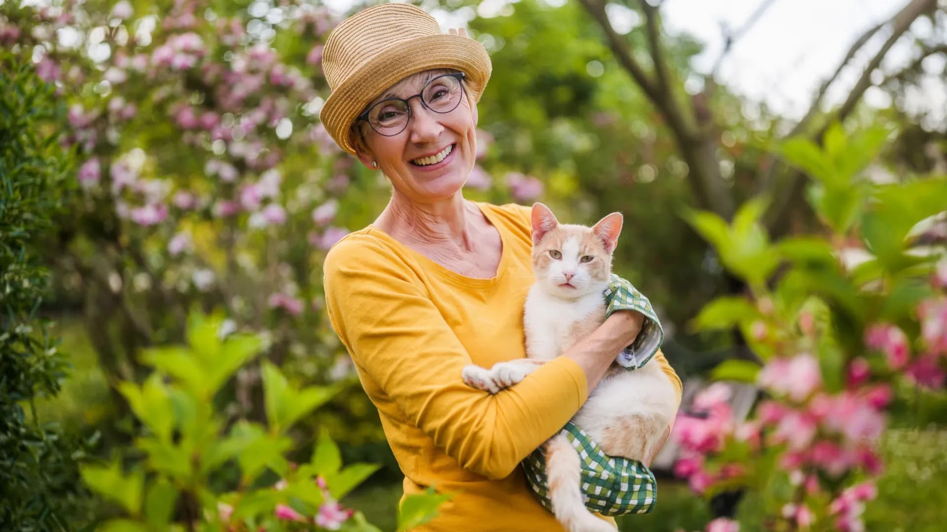 Major Study Reveals Surprising Cancer Links Between Cats and Humans